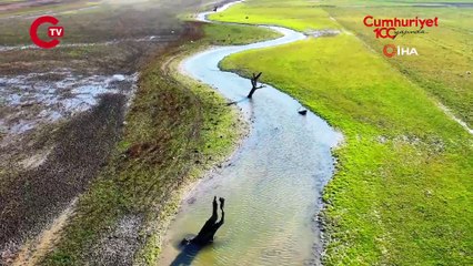 İSKİ açıkladı: Son yağışlar barajlardaki doluluk oranlarını nasıl etkiledi?