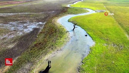 İstanbul'da barajlardaki doluluk oranı yüzde 40,8 oldu
