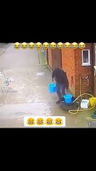 😂😂😂Fanny video very funny video omg 😂 _funnyvideo_funny _funnyvideos_memes _funnymemes(720P_HD)