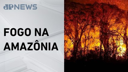 Com pior número desde 2010, Brasil registra mais de 270 mil focos de incêndio em 2024