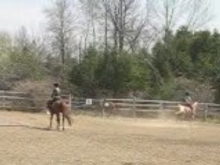 PREMIÈRE VIDÉO PRINTEMPS COUR DÉQUITATION