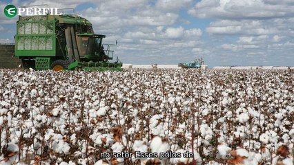 "De Manchester a Hollywood: Jennifer Lawrence, agropecuária e futebol se unem em um sábado emocionante"