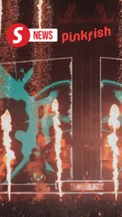 Organisers to fully cooperate with cops over deaths of four at New Year concert