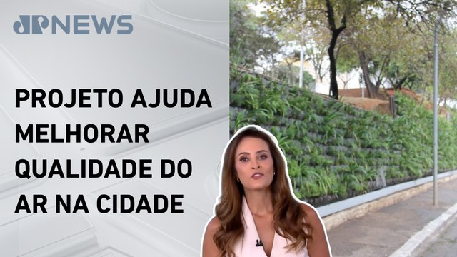 Av. 23 de maio, em SP, ganha bosque natural com mais de mil árvores; Patrícia Costa analisa