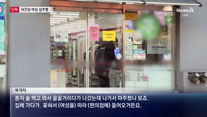 [단독]귀갓길 여성 성추행…시민이 잡았다