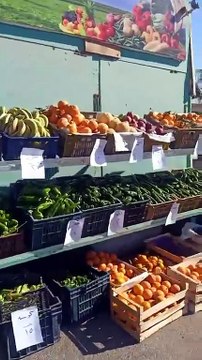 الكندوز ب380 والقوانص ب 35 وراك الفراخ ب 85 جنيها.. تخفيضات ٣٠٪ فى سوق اليوم الواحد بطور سيناء
