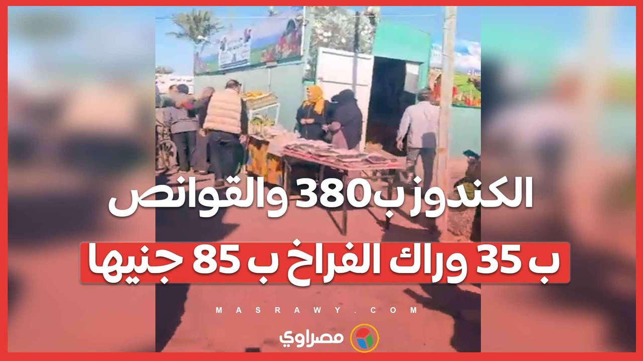 الكندوز ب380 والقوانص ب 35 وراك الفراخ ب 85 جنيها.. تخفيضات ٣٠٪ فى سوق اليوم الواحد بطور سيناء