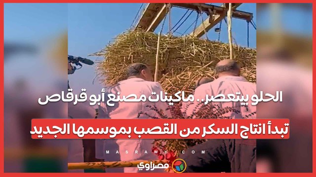الحلو بيتعصر.. ماكينات مصنع أبو قرقاص تبدأ انتاج السكر من القصب بموسمها الجديد