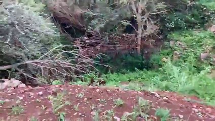 The Strawberry Line - Easton to Westbury-sub-Mendip FB Live