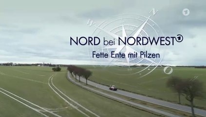 Nord bei Nordwest -25- Fette Ente mit Pilzen