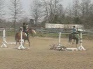 Cours d'équitation PROO