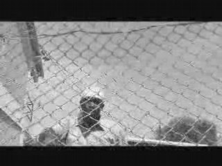 Busy Signal - Jail [NEW]