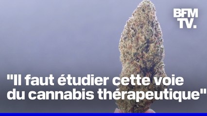 Autorisation du cannabis thérapeutique: pourquoi ça bloque