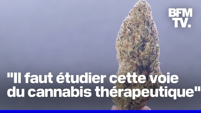 Autorisation du cannabis thérapeutique: pourquoi ça bloque