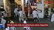 PM dá mata-leão em pitbull pra salvar doguinha