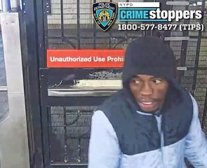 Man snatches cell phone from hands of woman, 73, on Bronx subway train