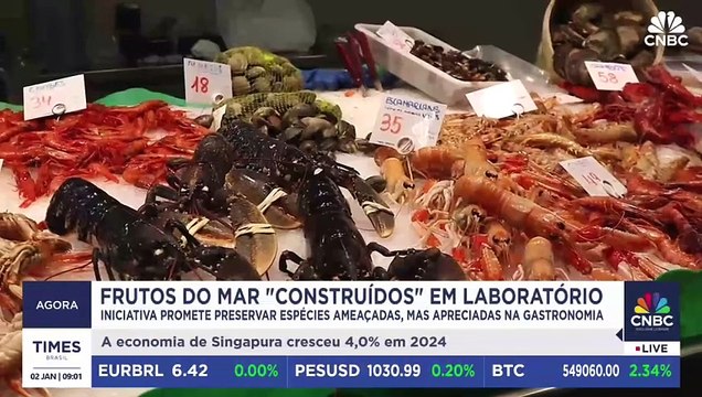 Frutos do mar construídos em laboratório? Conheça como funciona essa tecnologia