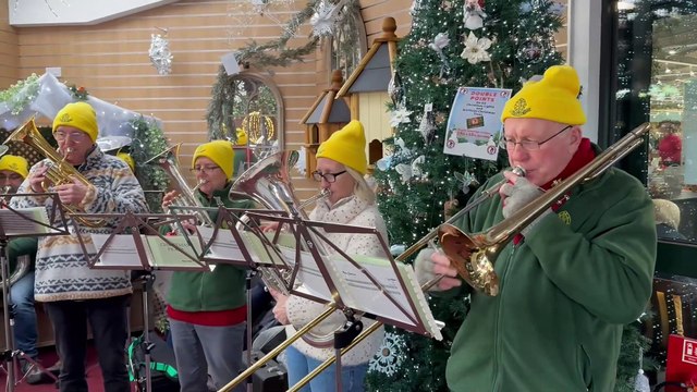Crediton Town Band at Homeleigh Garden Centre (Alan Quick, Crediton Courier)