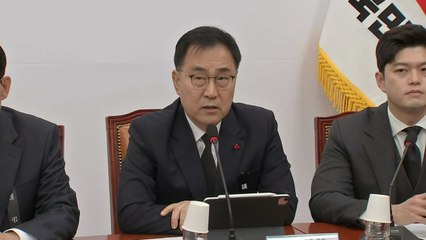 여당, 개헌론 군불..."탄핵심판 기간에 논의 시작해야" / YTN