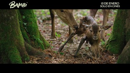 Bambi, una vida en el bosque - Spot 2