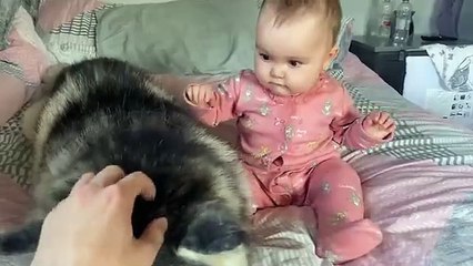 Scared Baby Refuses To Sleep In Her BIG Bed Without Her Husky!!😭. [CUTEST VIDEO EVER!!]