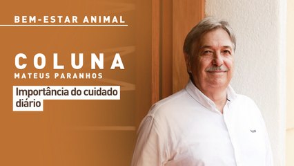 Bem-estar Animal: importância do cuidado diário