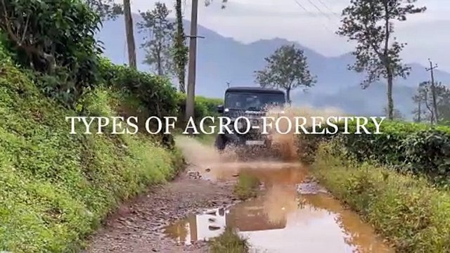 Agro Forestry || Forms of Forestry. #forest #nature #viral shot.