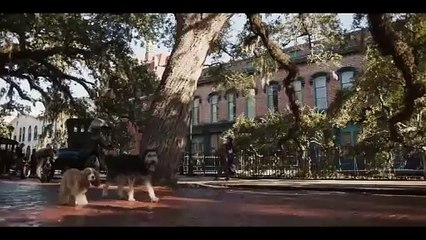 La Belle et le Clochard (2019) - Bande annonce