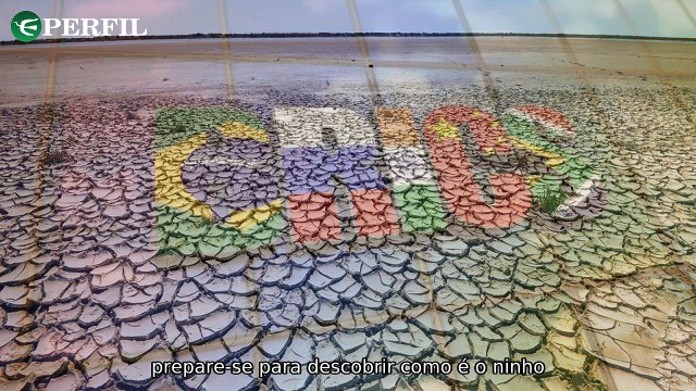Brasil sob alerta climático e liderança global: novidades em tempestades, política e entretenimento!