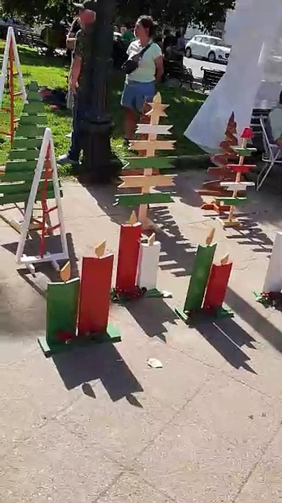 Plaza Brasil Market Vibes 🌳🇨🇱