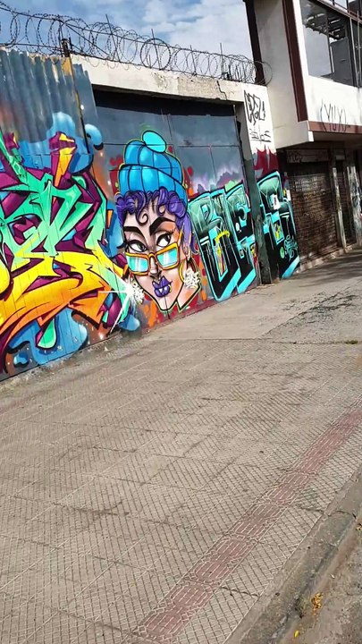 Street Art in Santiago 🎨🇨🇱