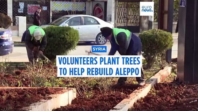 Volunteers plant trees as Syria's battered Aleppo returns to life