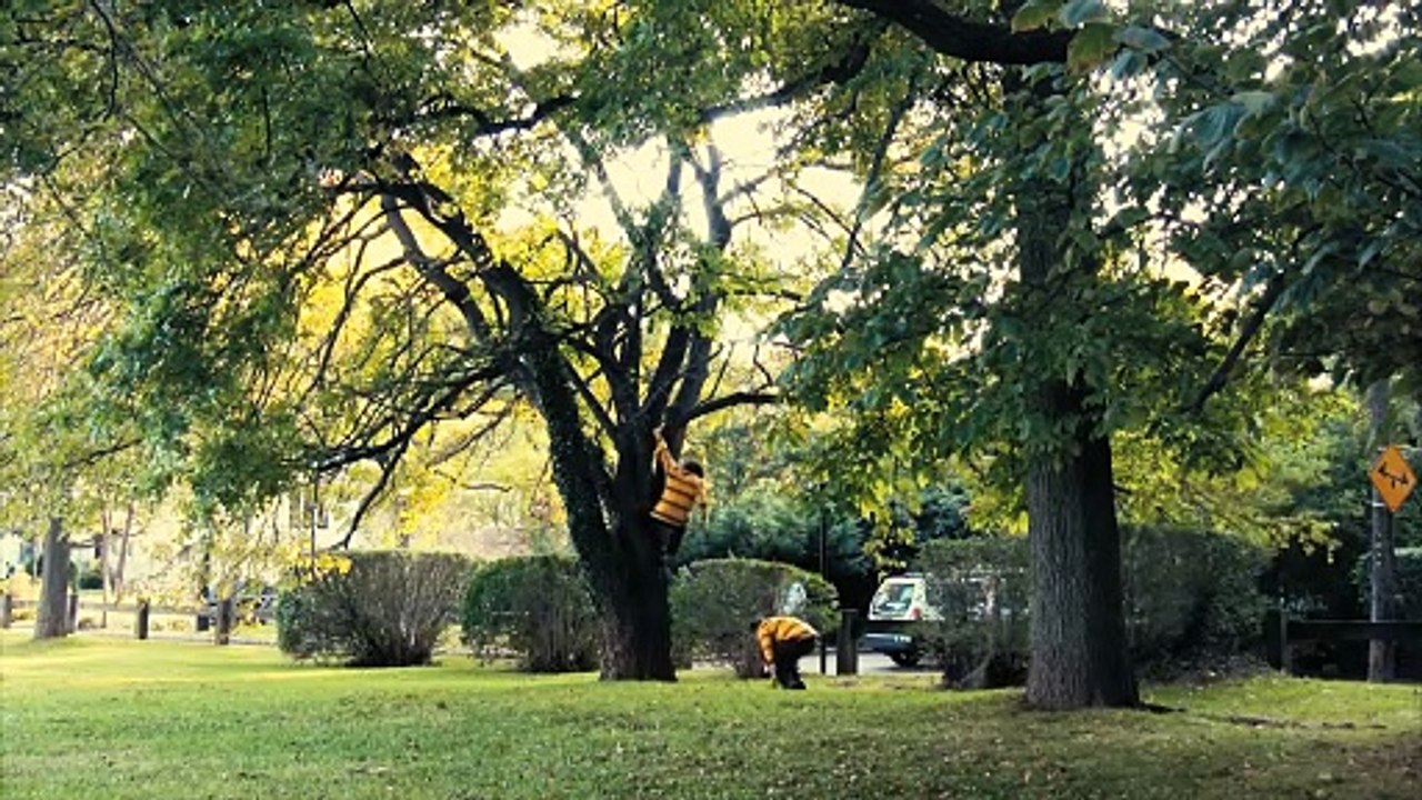 Rabbit Hole (2010) - Bande annonce