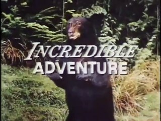 L'incroyable randonnée (1963) - Bande annonce