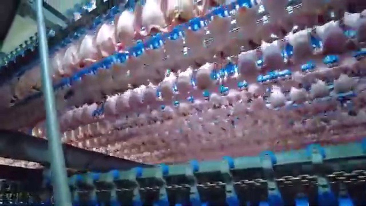 How KFC’s Iconic Fried Chicken is Made in Modern Factory | Crispy Fried Chicken Factory Process