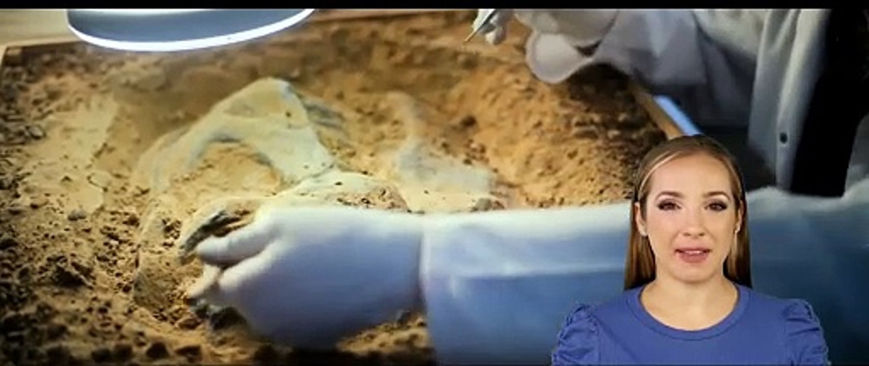 Importante y Tenebroso Hallazgo en Lúxor, Egipto