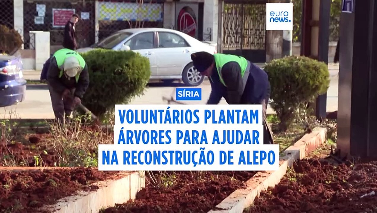 Voluntários em Alepo, na Síria, plantam árvores para ajudar a reconstruir a cidade