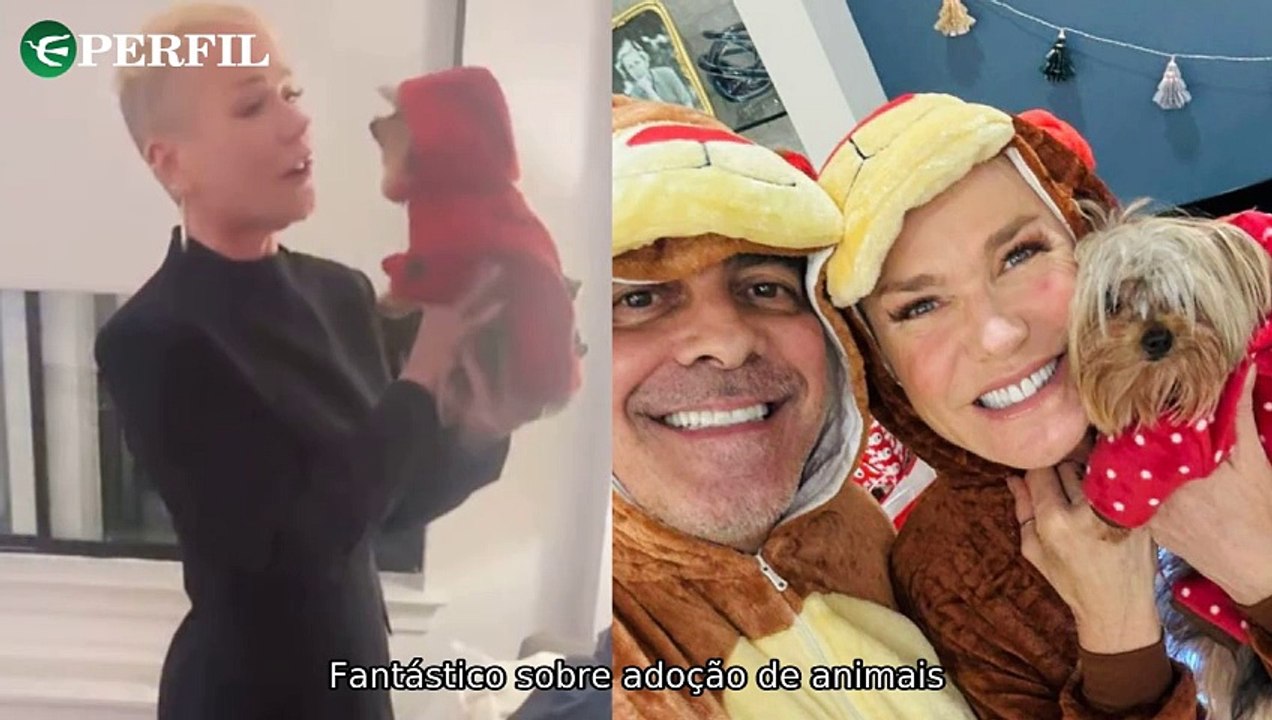 "Xuxa, Amado Batista e Graciele Lacerda: Celebridades compartilham experiências marcantes de vida"