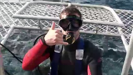 Open Water 3 : Les abîmes de la terreur (2017) - Bande annonce