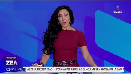 La Profepa libera a 2 mapaches en el Parque Nacional Cañón Sumidero