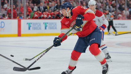 Key NHL Matchups: Panthers vs. Canes & More Games Tonight