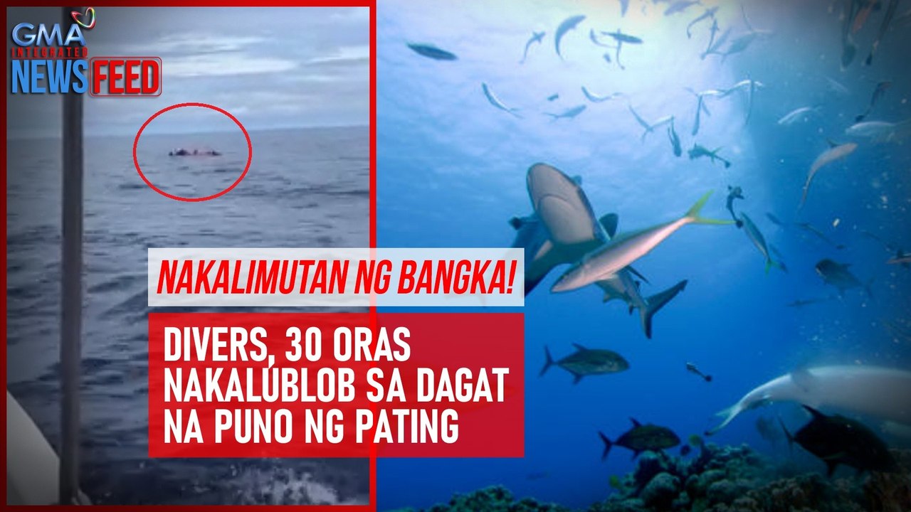 Nakalimutan ng bangka! Divers, 30 oras nakalublob sa dagat na puno ng pating | GMA Integrated Newsfeed