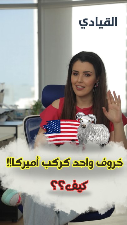خروف واحد كركب كل أميركا!! كيف؟