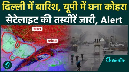 Weather Update: Delhi-NCR में बारिश का Alert, पूरा उत्तर भारत घने कोहरे की चपेट में | वनइंडिया हिंदी