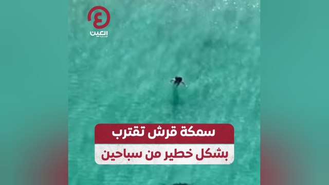 سمكة قرش تقترب بشكل خطير من سباحين