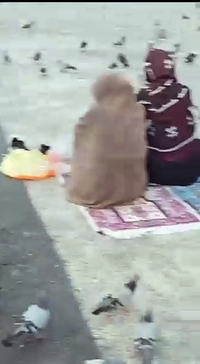 اللہ نگہبان