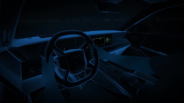 DS N°8 - Neck Warmer