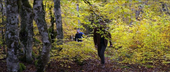 L'uomo nel bosco (Trailer Ufficiale HD) ⭐️⭐️⭐️½