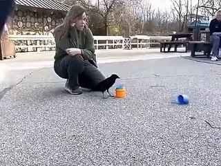 Un oiseau très intelligent