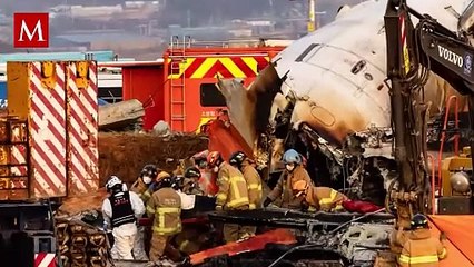 El Misterio del vuelo 2216: ¿Choque con pájaros o falla mecánica?